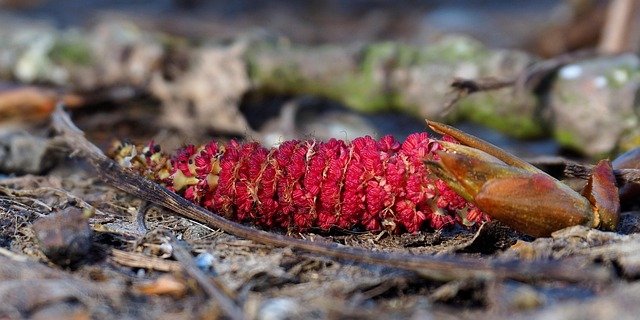 modernized mullet haircut side view